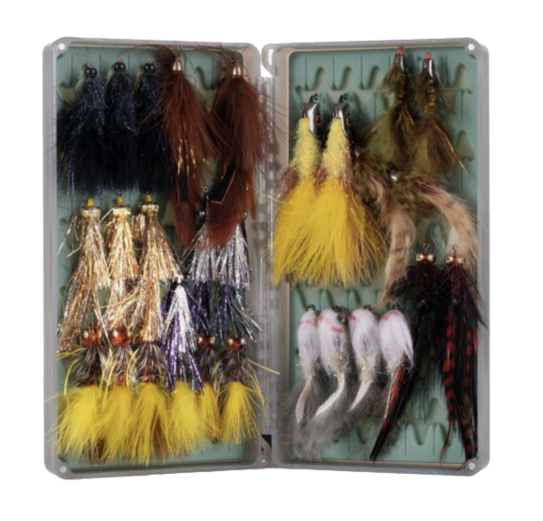 Tacky Big Bug 2X Fly Box Open Tacky Big Bug 2X Fly Box Open